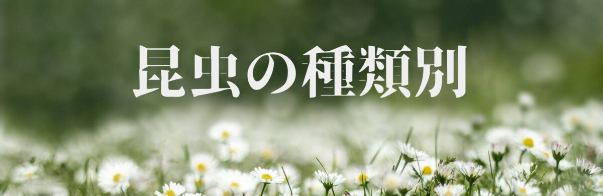 種類別